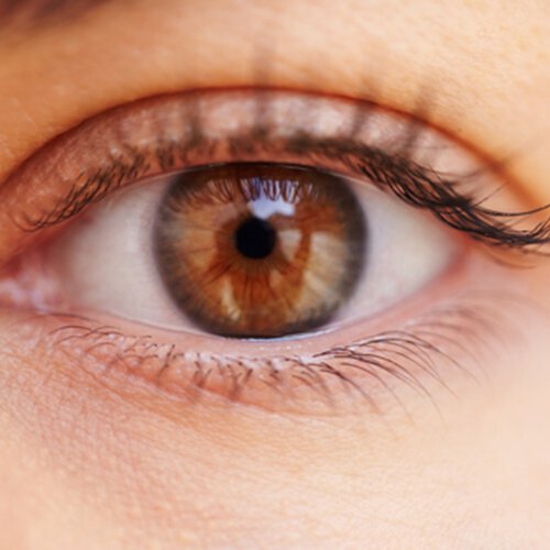 Eyelid surgery could correct vision problems caused by loose or excess skin.