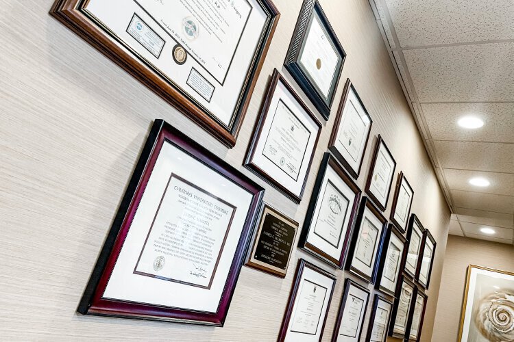 Dr. James Marotta certifications and awards